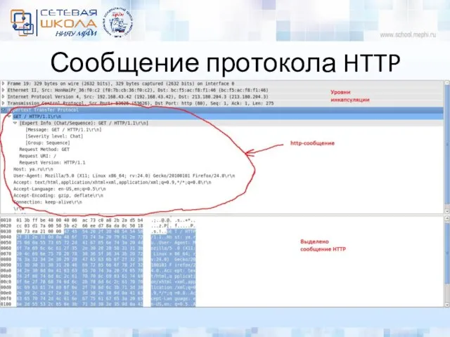 Сообщение протокола HTTP