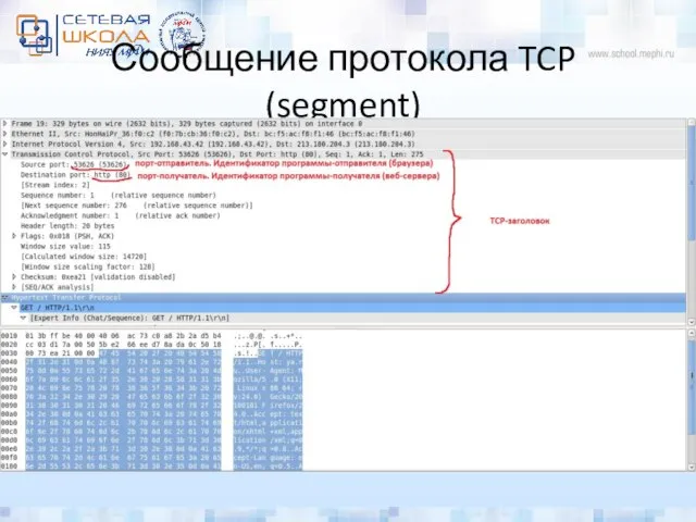 Сообщение протокола TCP (segment)