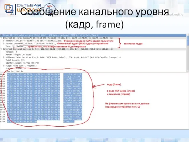 Сообщение канального уровня (кадр, frame)