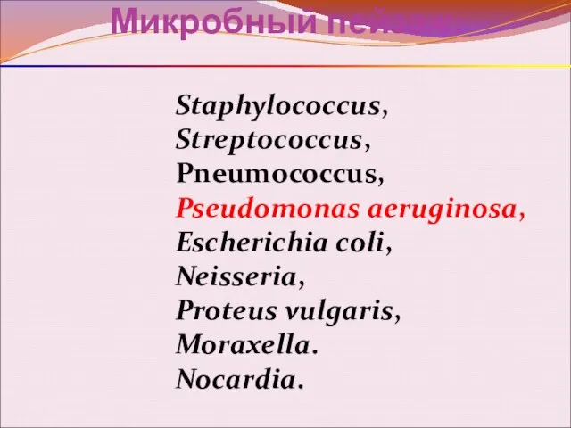 Микробный пейзаж: Staphylococcus, Streptococcus, Pneumococcus, Pseudomonas aeruginosa, Escherichia coli, Neisseria, Proteus vulgaris, Moraxella. Nocardia.