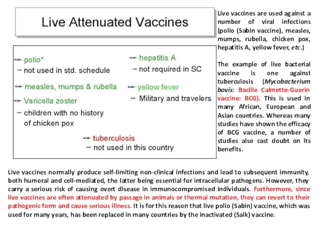 Live vaccines are used against a number of viral infections (polio