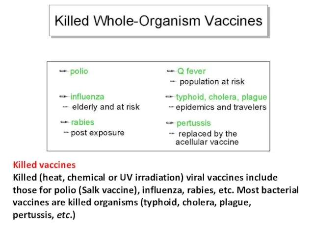 Killed vaccines Killed (heat, chemical or UV irradiation) viral vaccines include