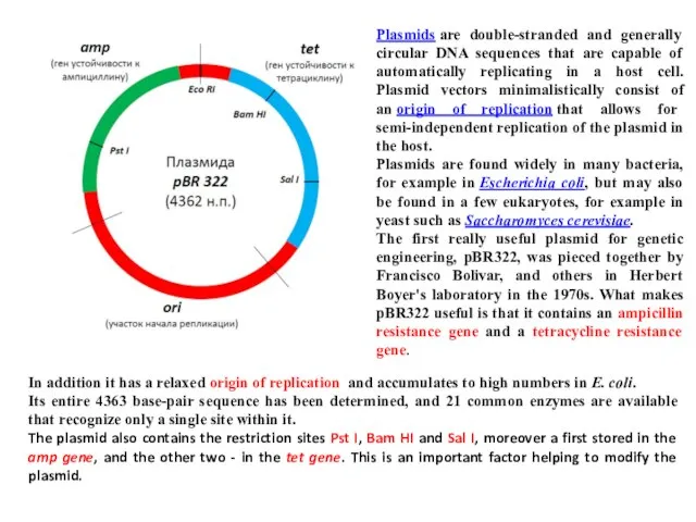 Plasmids are double-stranded and generally circular DNA sequences that are capable