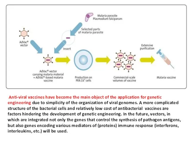 Anti-viral vaccines have become the main object of the application for