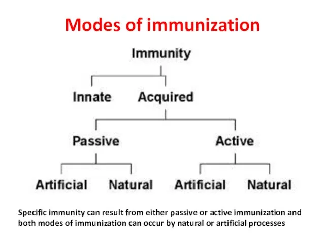 Modes of immunization Specific immunity can result from either passive or