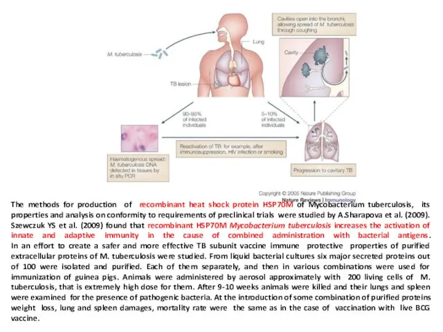 The methods for production of recombinant heat shock protein HSP70M of