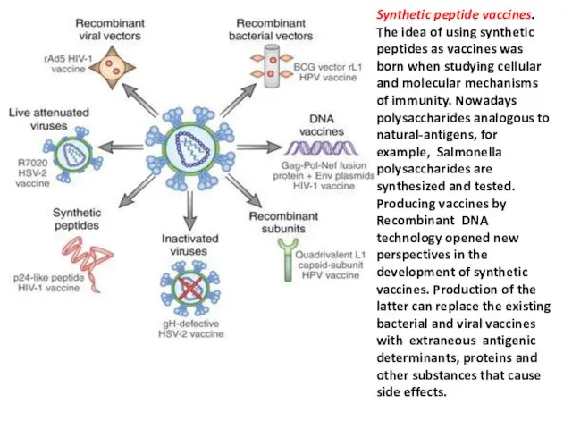 Synthetic peptide vaccines Synthetic peptide vaccines. The idea of ​​using synthetic