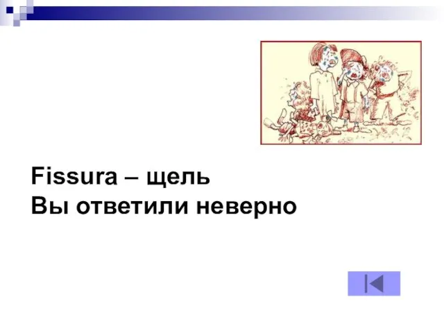 Fissura – щель Вы ответили неверно