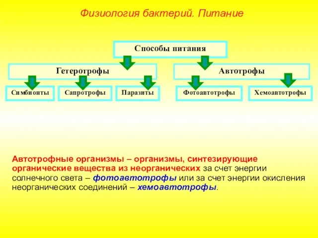 Способы питания Гетеротрофы Автотрофы Симбионты Сапротрофы Паразиты Фотоавтотрофы Хемоавтотрофы Физиология бактерий.