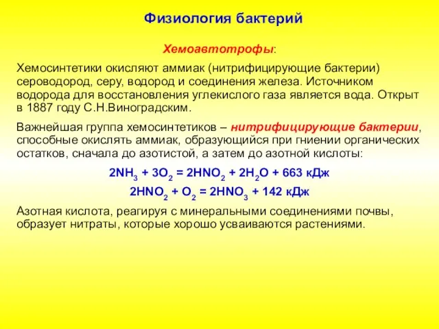 Физиология бактерий Хемоавтотрофы: Хемосинтетики окисляют аммиак (нитрифицирующие бактерии) сероводород, серу, водород