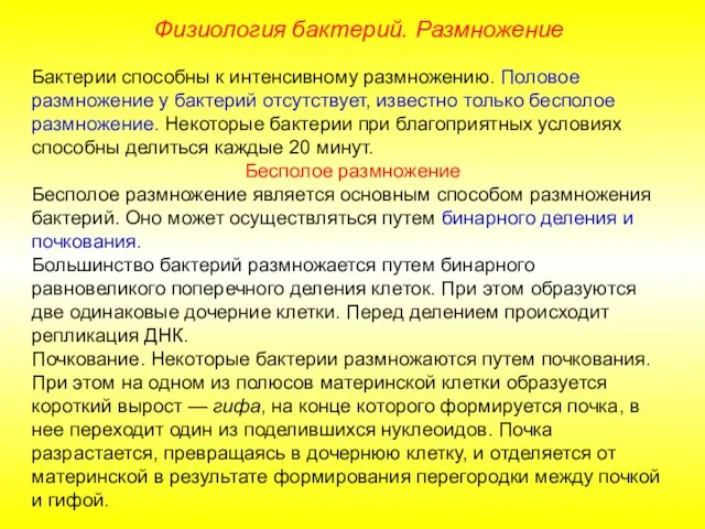 Бактерии способны к интенсивному размножению. Половое размножение у бактерий отсутствует, известно