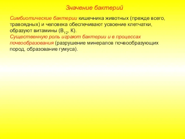 Значение бактерий Симбиотические бактерии кишечника животных (прежде всего, травоядных) и человека