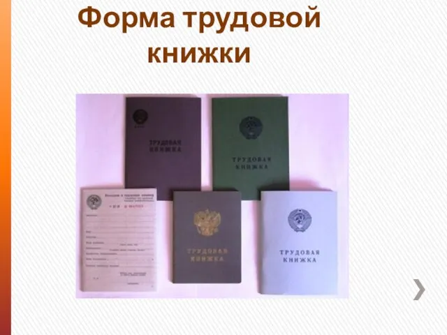 Форма трудовой книжки