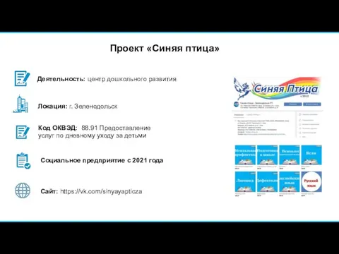 Проект «Синяя птица» Код ОКВЭД: 88.91 Предоставление услуг по дневному уходу