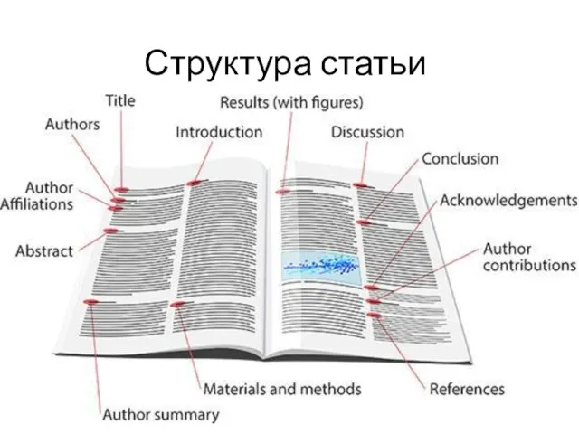 Структура статьи