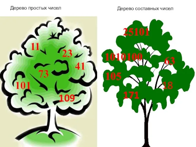 Дерево составных чисел Дерево простых чисел 11 23 41 73 101