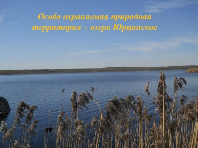 Фото озера Особо охраняемая природная территория – озеро Юрцинское