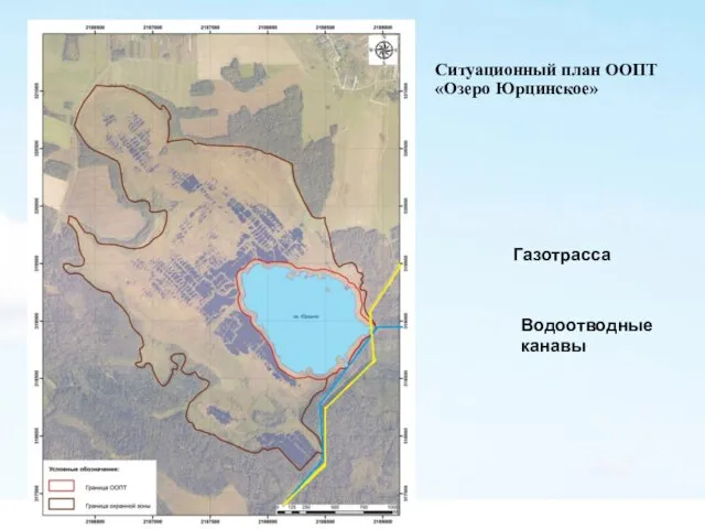 Ситуационный план ООПТ «Озеро Юрцинское» Газотрасса Водоотводные канавы