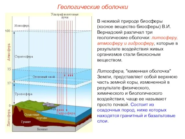 Геологические оболочки В неживой природе биосферы (косное вещество биосферы) В.И.Вернадский различал