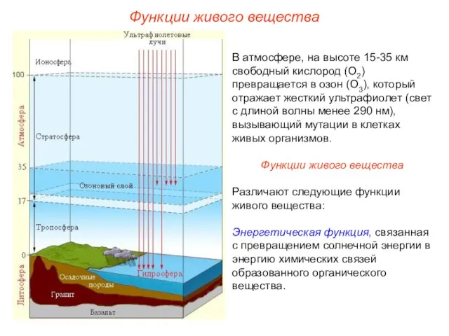 В атмосфере, на высоте 15-35 км свободный кислород (О2) превращается в