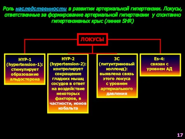 Роль наследственности в развитии артериальной гипертензии. Локусы, ответственные за формирование артериальной