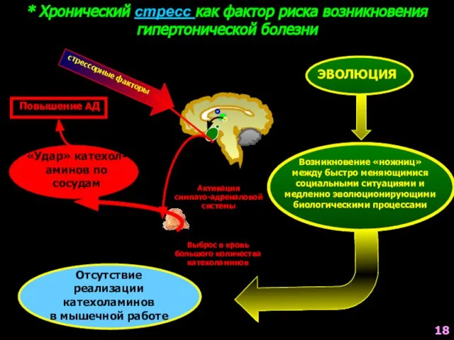 * Хронический стресс как фактор риска возникновения гипертонической болезни стрессорные факторы