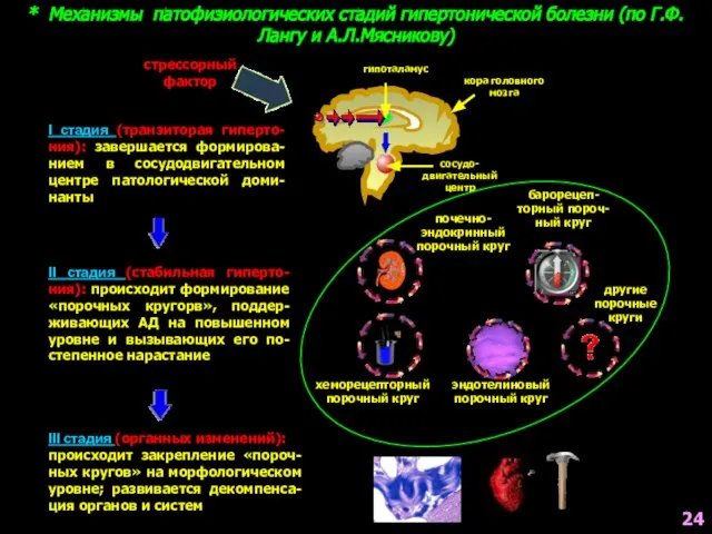 * Механизмы патофизиологических стадий гипертонической болезни (по Г.Ф.Лангу и А.Л.Мясникову) кора