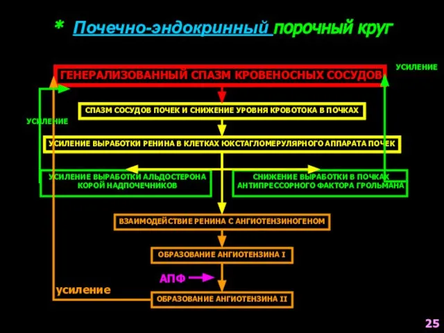 * Почечно-эндокринный порочный круг ГЕНЕРАЛИЗОВАННЫЙ СПАЗМ КРОВЕНОСНЫХ СОСУДОВ СПАЗМ СОСУДОВ ПОЧЕК