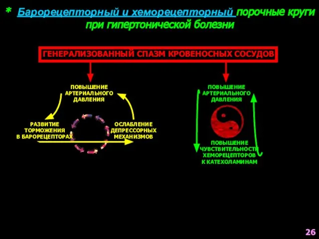 * Барорецепторный и хеморецепторный порочные круги при гипертонической болезни ГЕНЕРАЛИЗОВАННЫЙ СПАЗМ