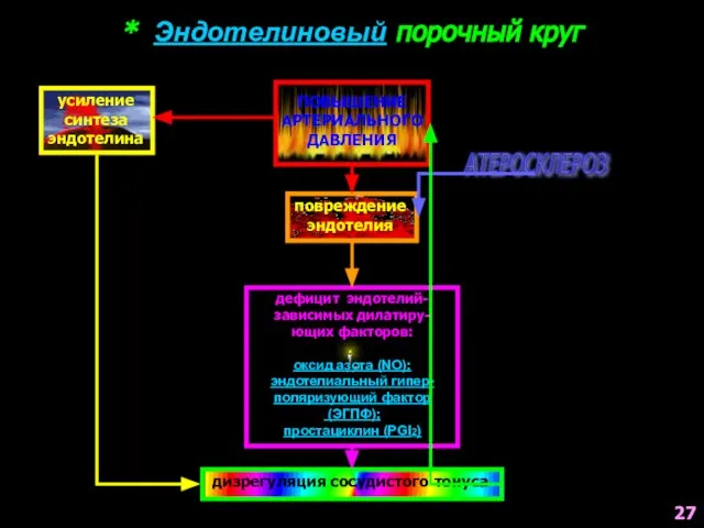 * Эндотелиновый порочный круг ПОВЫШЕНИЕ АРТЕРИАЛЬНОГО ДАВЛЕНИЯ усиление синтеза эндотелина повреждение