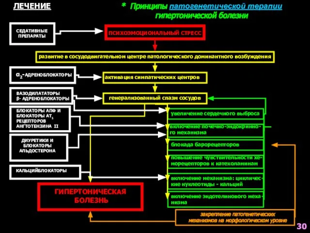 * Принципы патогенетической терапии гипертонической болезни ПСИХОЭМОЦИОНАЛЬНЫЙ СТРЕСС развитие в сосудодвигательном