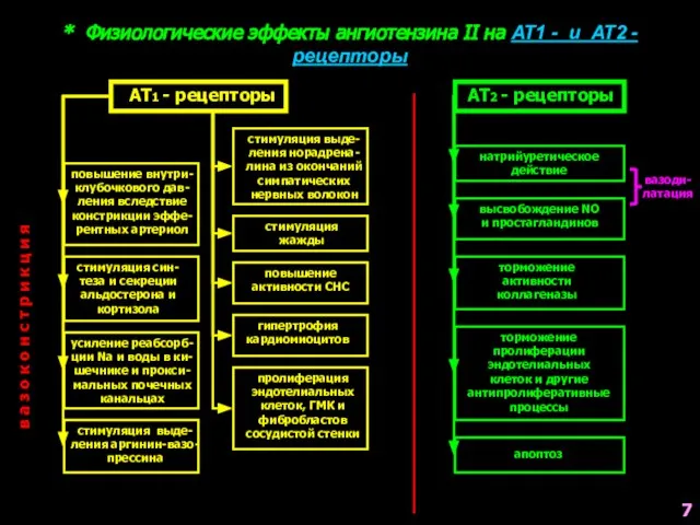 * Физиологические эффекты ангиотензина II на АТ1 - и АТ2 -