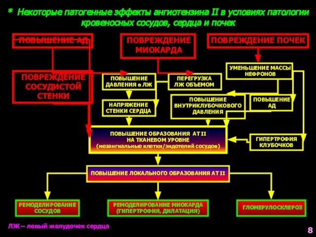 * Некоторые патогенные эффекты ангиотензина II в условиях патологии кровеносных сосудов,