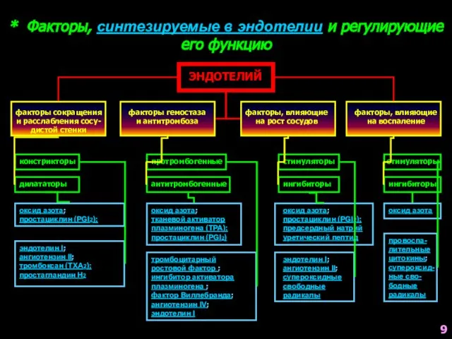 * Факторы, синтезируемые в эндотелии и регулирующие его функцию ЭНДОТЕЛИЙ факторы