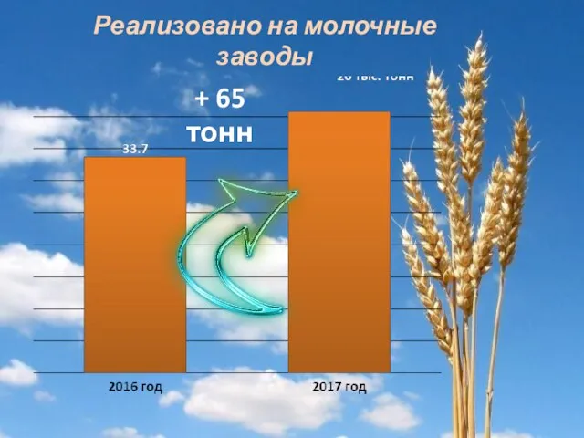 Реализовано на молочные заводы + 65 тонн