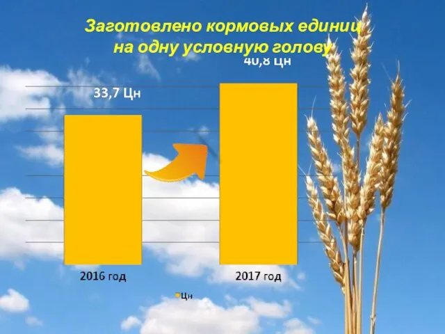 Заготовлено кормовых единиц на одну условную голову