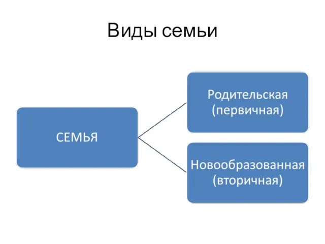 Виды семьи