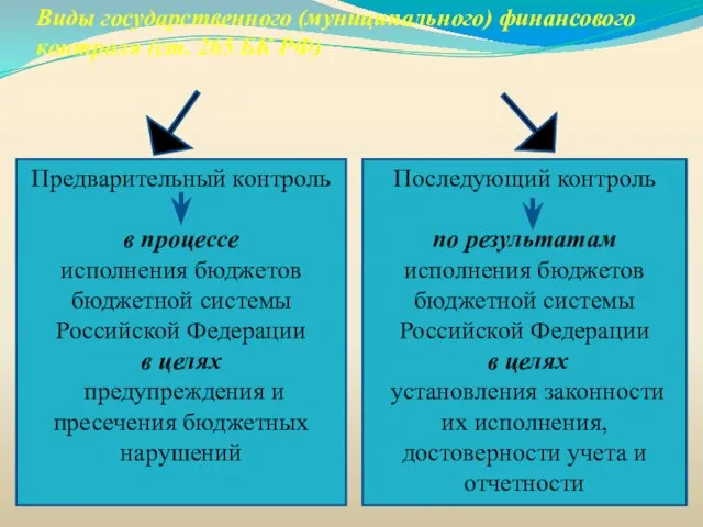 Виды государственного (муниципального) финансового контроля (ст. 265 БК РФ) Предварительный контроль