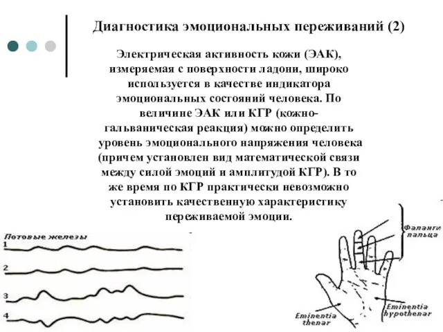 Диагностика эмоциональных переживаний (2) Электрическая активность кожи (ЭАК), измеряемая с поверхности