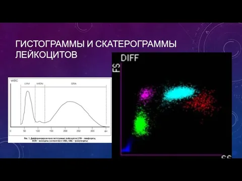 ГИСТОГРАММЫ И СКАТЕРОГРАММЫ ЛЕЙКОЦИТОВ