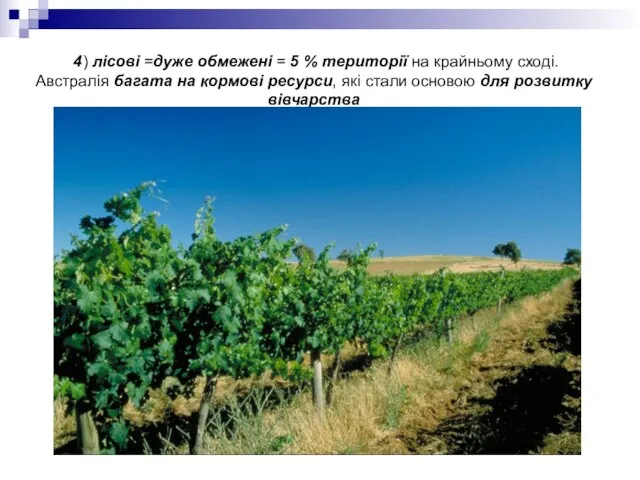 4) лісові =дуже обмежені = 5 % території на крайньому сході.