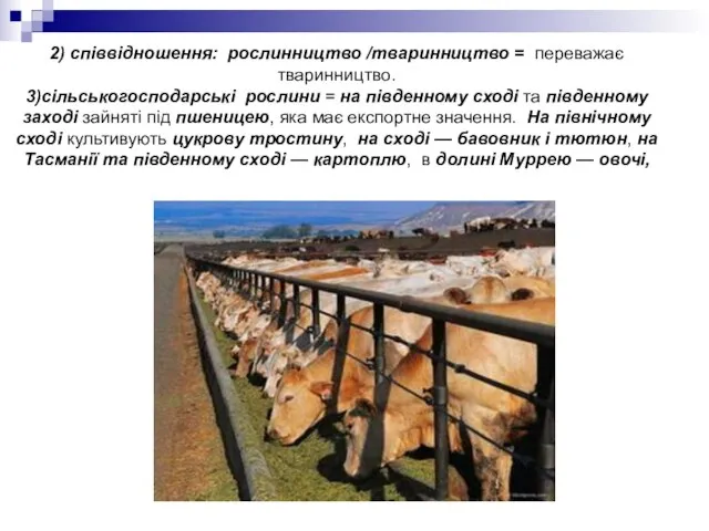 2) співвідношення: рослинництво /тваринництво = переважає тваринництво. 3)сільськогосподарські рослини = на