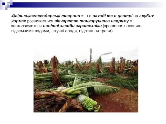 4)сільськогосподарські тварини = на заході та в центрі на грубих кормах