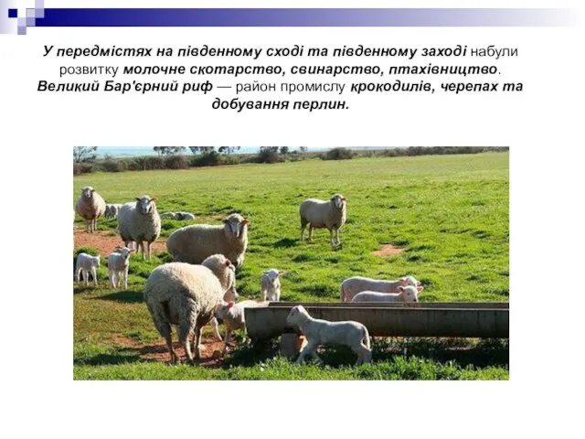 У передмістях на південному сході та південному заході набули розвитку молочне