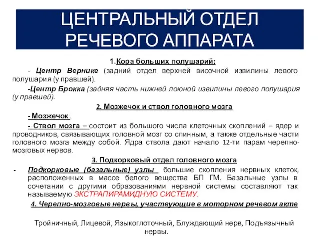 ЦЕНТРАЛЬНЫЙ ОТДЕЛ РЕЧЕВОГО АППАРАТА Кора больших полушарий: - Центр Вернике (задний