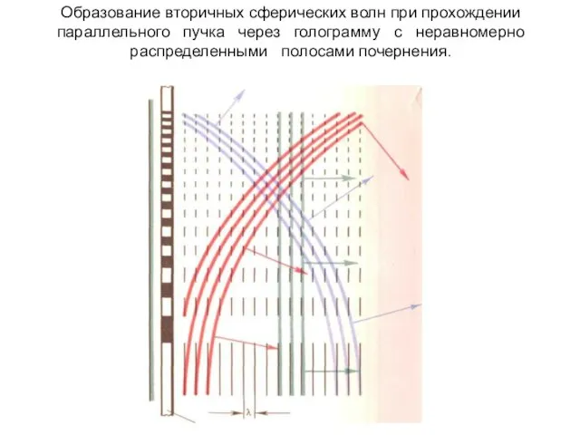 Образование вторичных сферических волн при прохождении параллельного пучка через голограмму с неравномерно распределенными полосами почернения.