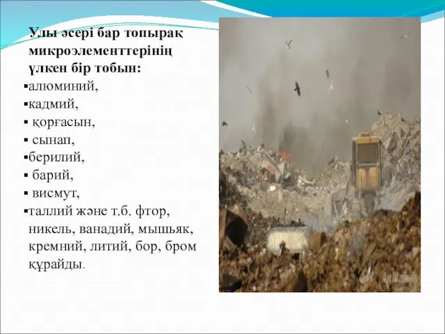 Улы әсері бар топырақ микроэлементтерінің үлкен бір тобын: алюминий, кадмий, қорғасын,