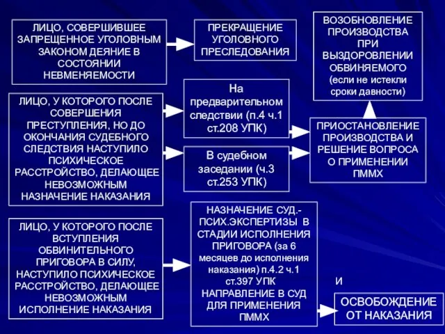 ЛИЦО, СОВЕРШИВШЕЕ ЗАПРЕЩЕННОЕ УГОЛОВНЫМ ЗАКОНОМ ДЕЯНИЕ В СОСТОЯНИИ НЕВМЕНЯЕМОСТИ ЛИЦО, У