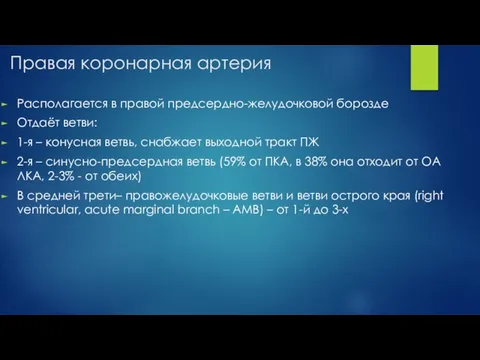 Правая коронарная артерия Располагается в правой предсердно-желудочковой борозде Отдаёт ветви: 1-я