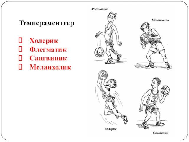 Темпераменттер Холерик Флегматик Сангвиник Меланхолик